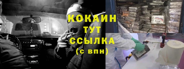 прущие крисы Балахна