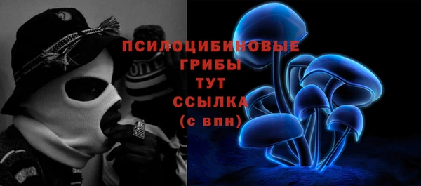 прущие крисы Балахна