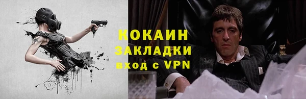 прущие крисы Балахна