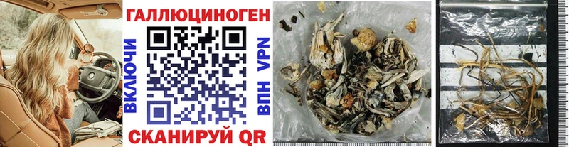 Псилоцибиновые грибы Magic Shrooms  купить закладку  Игарка 